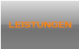 LEISTUNGEN